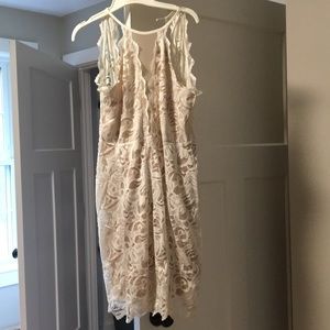 Lace sheer fitted dress